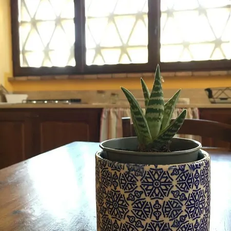 Nell' Aia 아파트 *