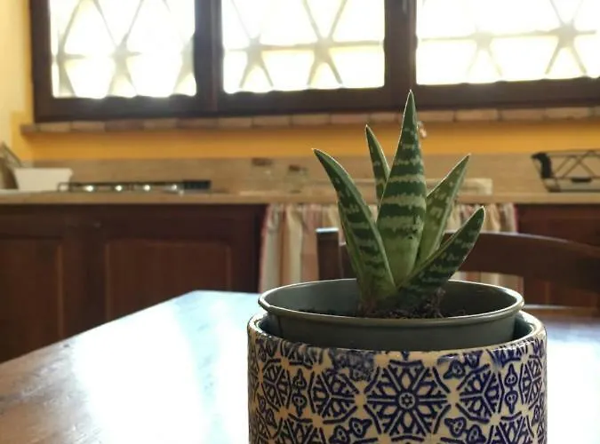 Nell' Aia Appartement *